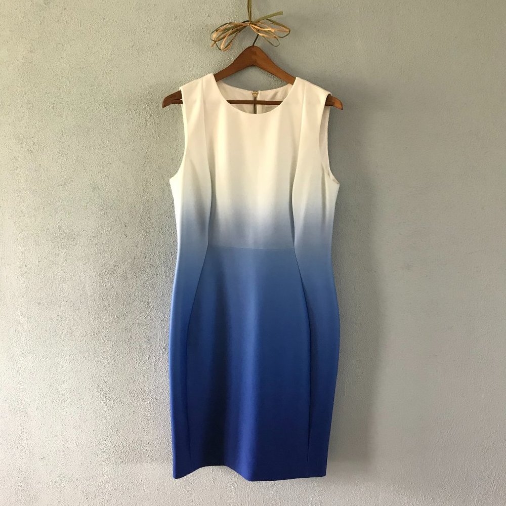 Calvin Klein Shift Dress